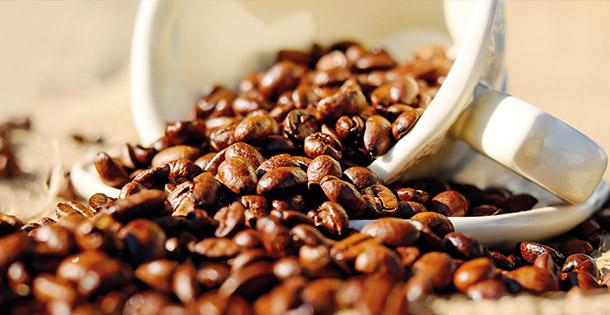 Wissenswertes rund um Kaffee