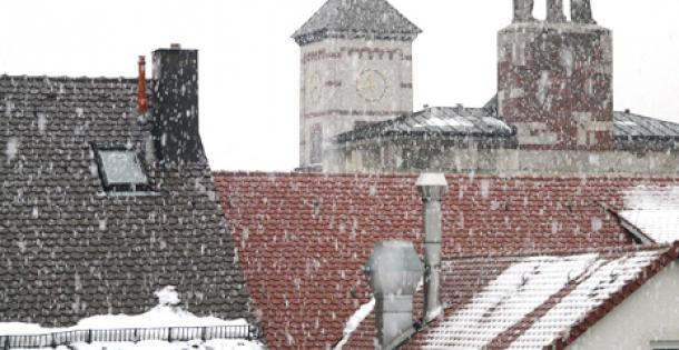 Winterschäden