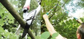 Astscheren im Test