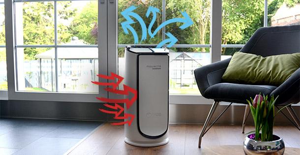 Rowenta INTENSE PURE AIR CONNECT PU6080 Luftreiniger bis 500...