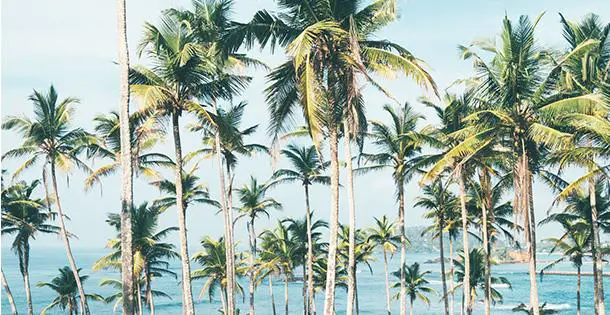 Urlaubs Tipps