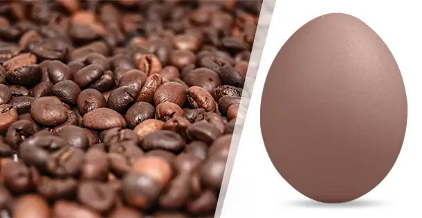 Braunes Ei mit Kaffee gefärbt