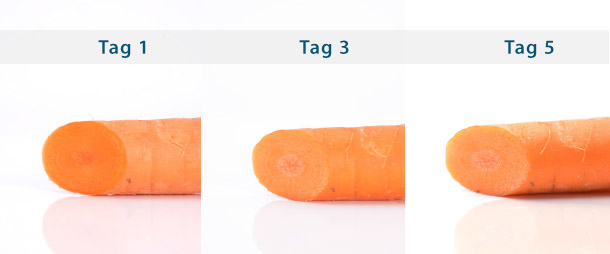 Bauknecht KGNF 203D IN: Frischetest, Karotten nach 1, 3 und 5 Tagen
