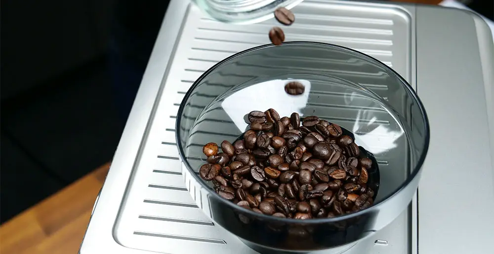 Gastroback Art.-Nr. 42619 Design Espresso Advanced Barista: Kaffeebohnen einfüllen
