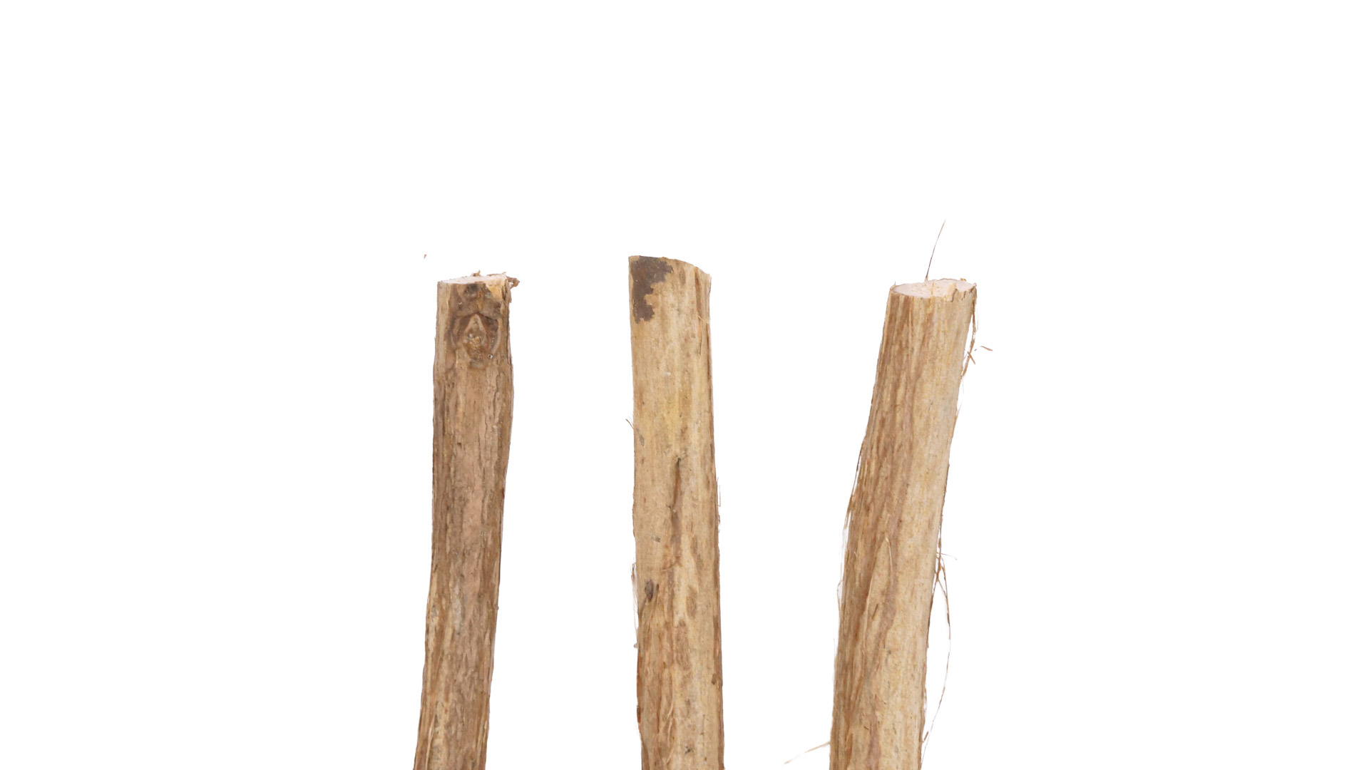 STIHL HSA 26 &ndash; Schnittkante bei ⌀ &asymp; 0,8 cm